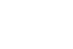 MooMoo